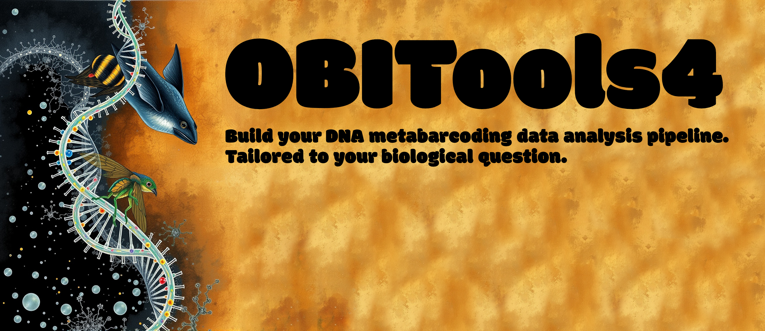 Welcome obitools4